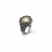 Anello Maui